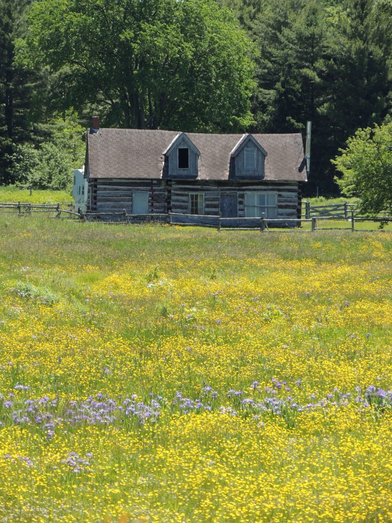 Bruce Co. cottage