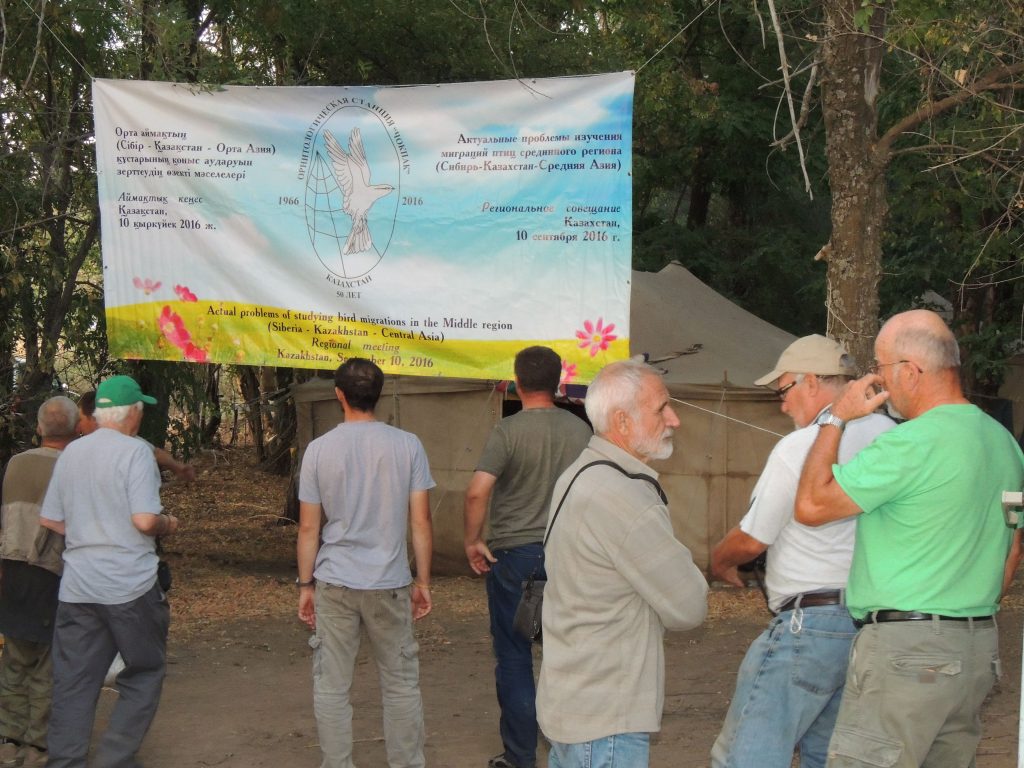 gathering-of-ornithologists-at-chokpak