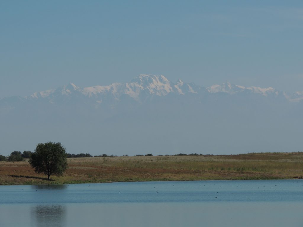 Steppe, lake and Tien Shan